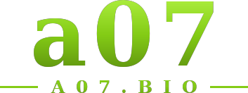 a07 logo